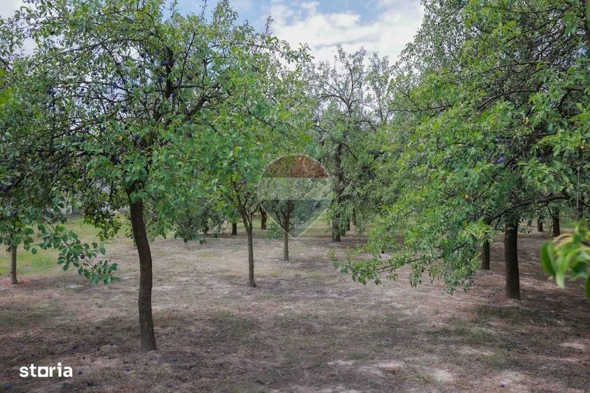 Casă cu 3 camere în Forosig