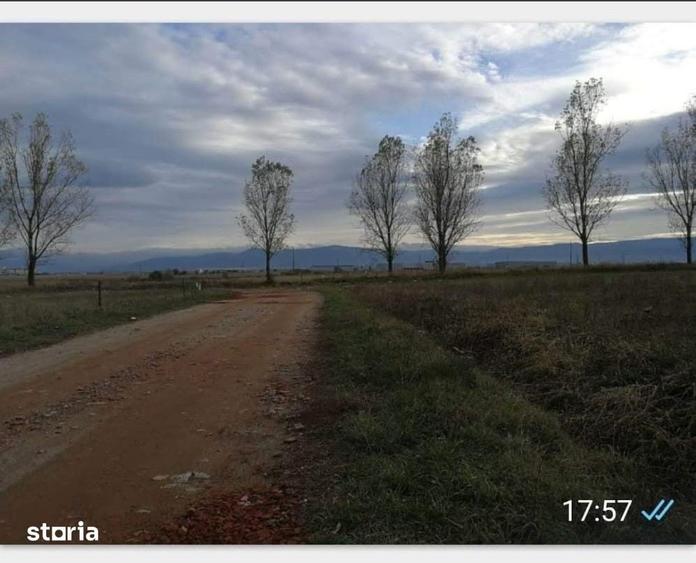 Teren de 10000 mp, în Vest