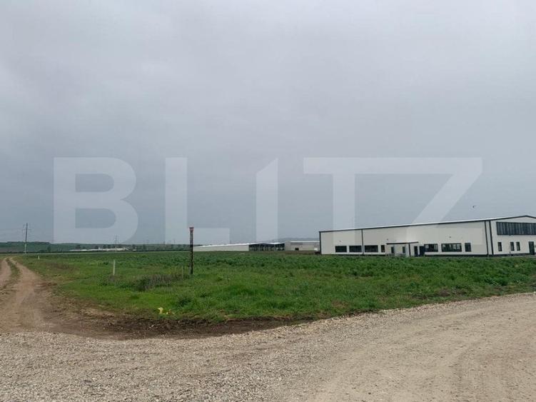 Teren Construcții intravilan de 41000 mp, în Sebeș