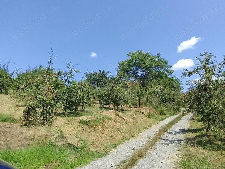 Teren de 6100 mp, în Cehal