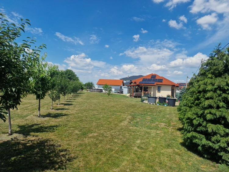 Casă cu 3 camere în Vetiș
