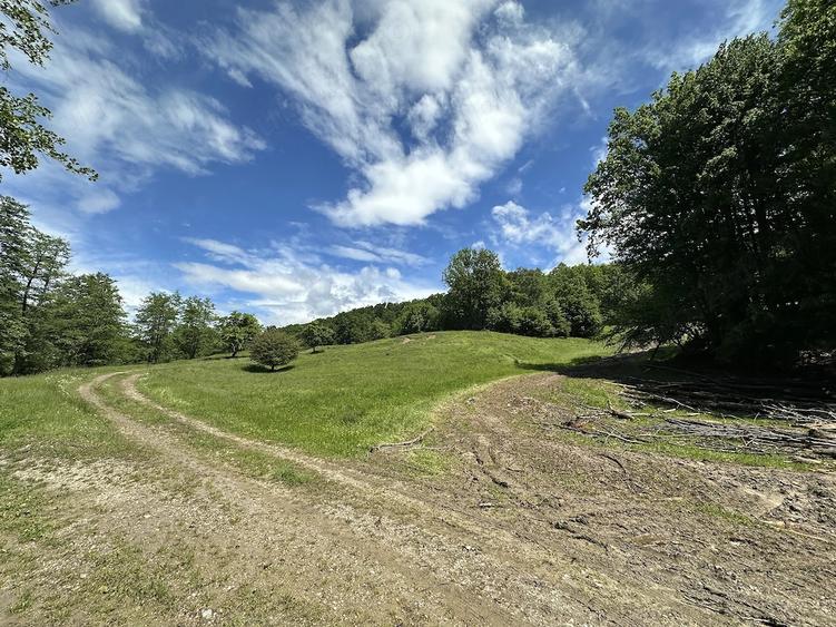 Teren de 4100 mp, în Drăganu