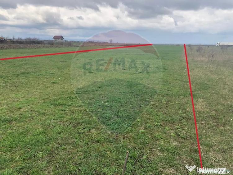 Teren în Cărpiniș