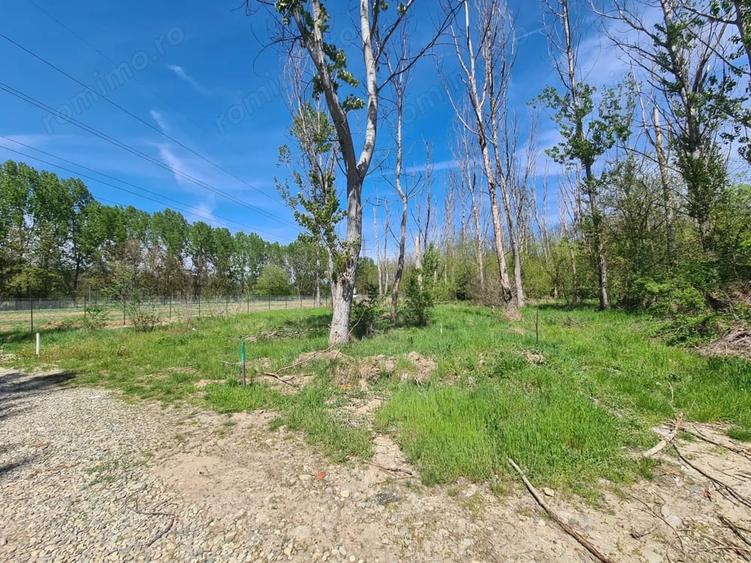 Teren de 5300 mp, în Agrement Ostroveni