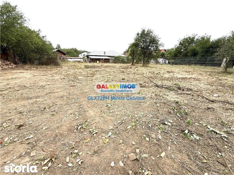 Vanzare teren intravilan Baicoi Prahova zona Liliesti - 11