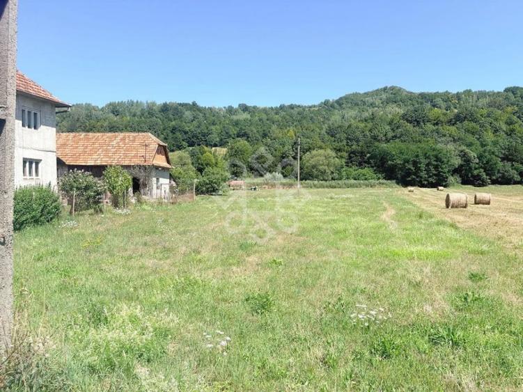 Teren de 3573 mp, în Negreni