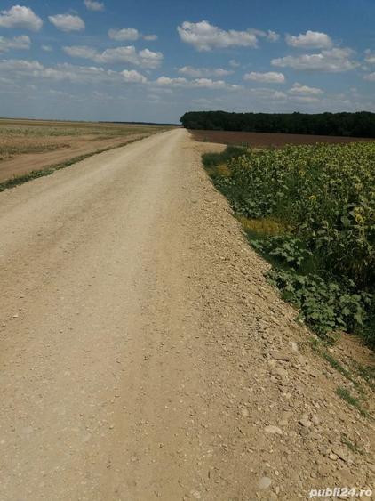 Teren de 756 mp, în Frumușani