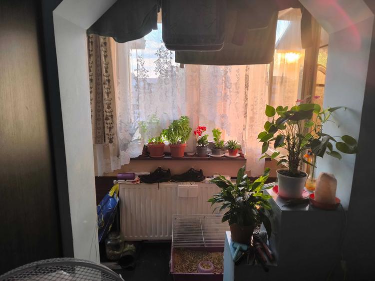 Garsonieră nedecomandată în Calea Moldovei