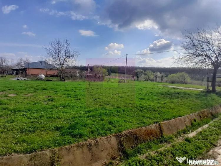 Teren în Buturugeni