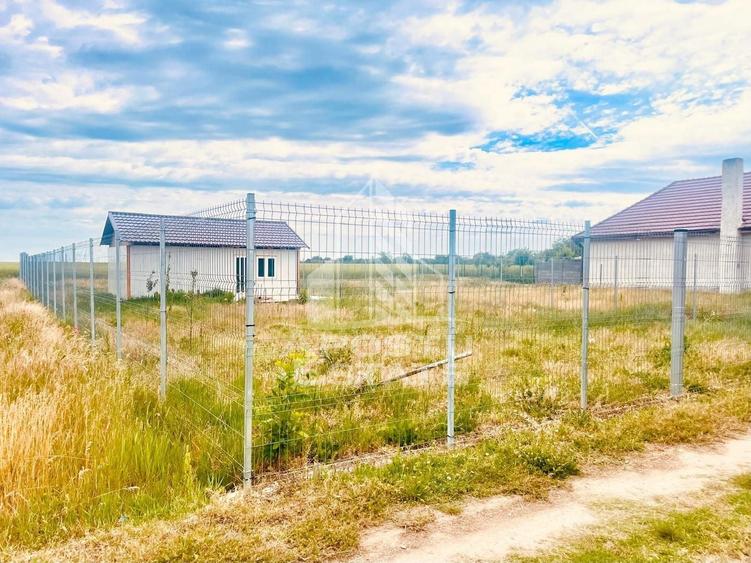 Teren Construcții intravilan de 596 mp, în Zimandu Nou