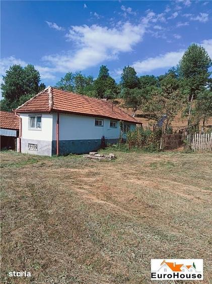 Casă cu 2 camere cu Teren 10000 Mp în Ciuruleasa