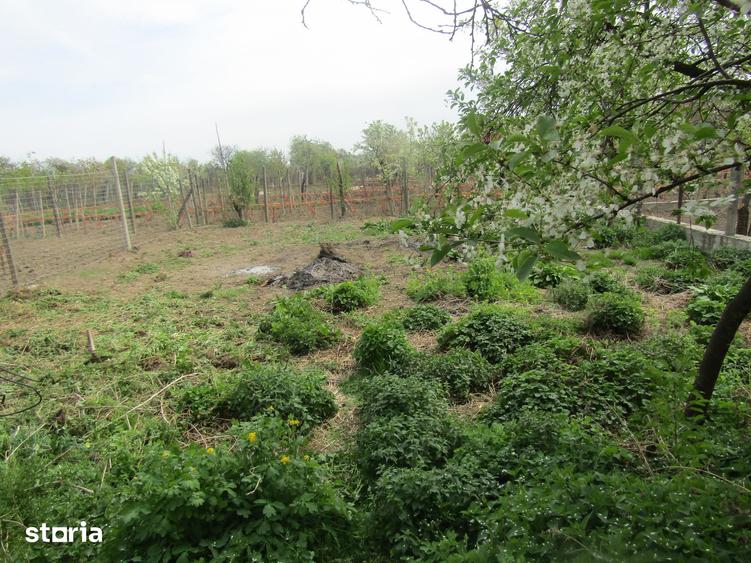 Casă cu 2 camere cu Teren 1269 Mp în Vințu de Jos