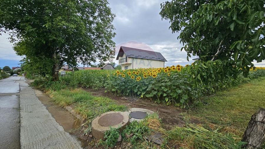Teren de 2600 mp, în Lisaura