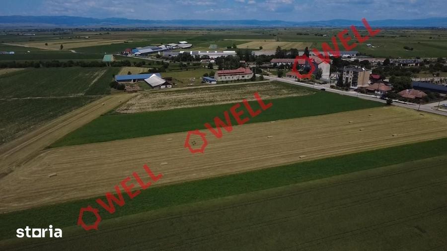 Teren de 10300 mp, în Central