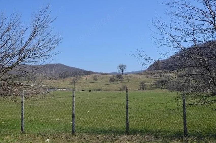 Teren de 82000 mp, în Dăești