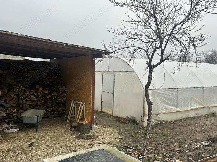 Casă cu 5 camere cu Teren 3885 Mp în Izgar