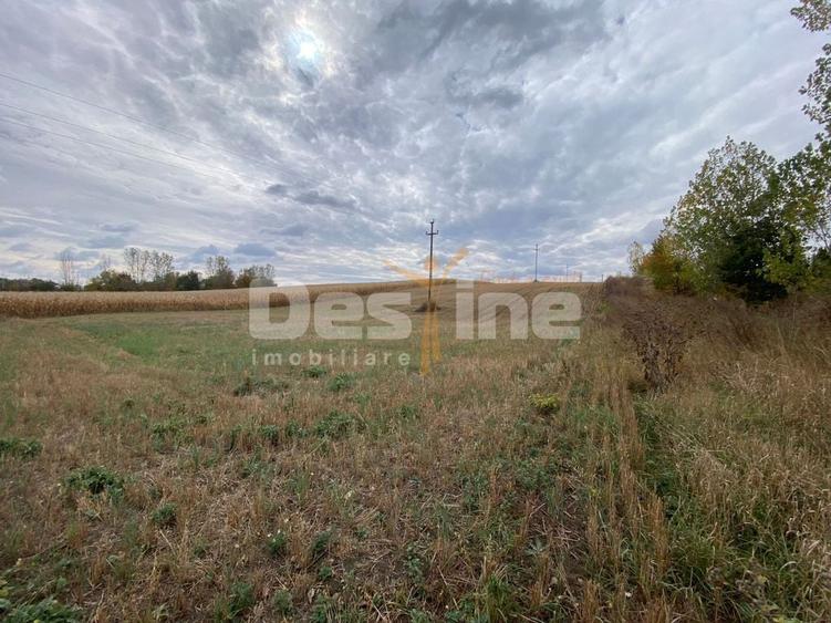 Teren de 6400 mp, în Girov