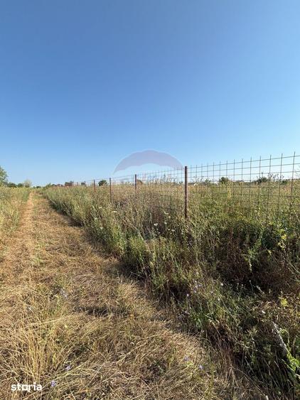 Teren de 1500 mp, în Tărtășești