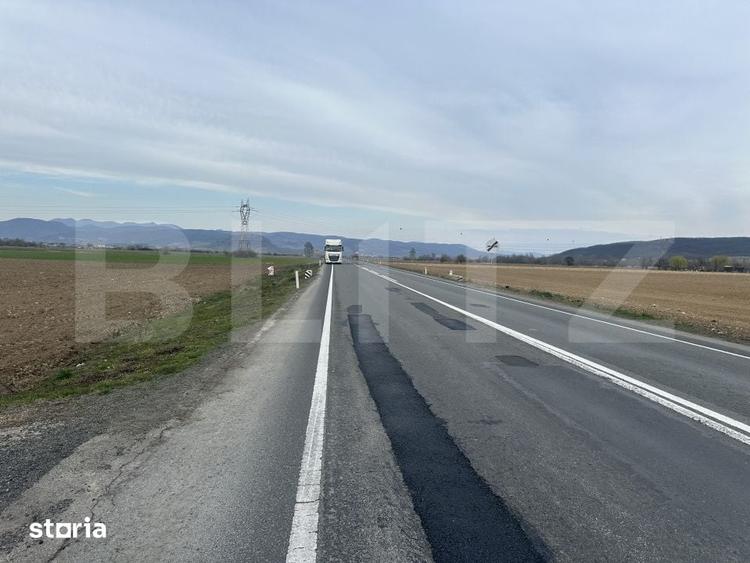 Teren de 32000 mp, în Băcia