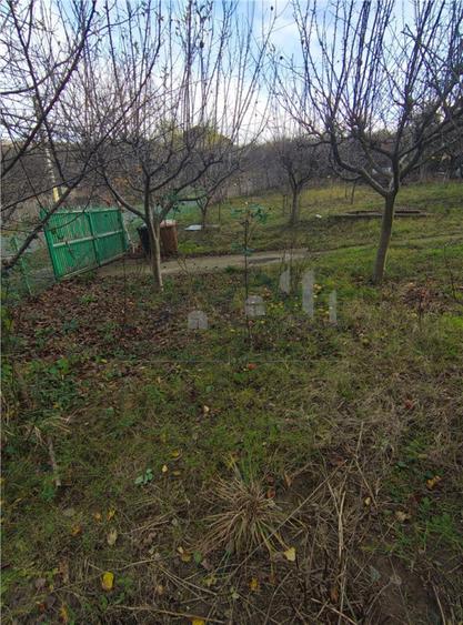 Teren de 750 mp, în Bucium