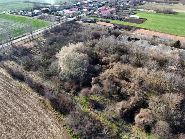 Teren Construcții intravilan de 70291 mp, în Micșunești-Moară
