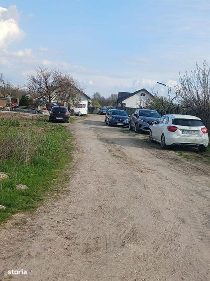 Teren Clinceni sat Olteni - 2