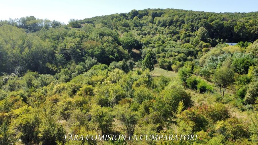 Teren Construcții intravilan de 4849 mp, în Morilor