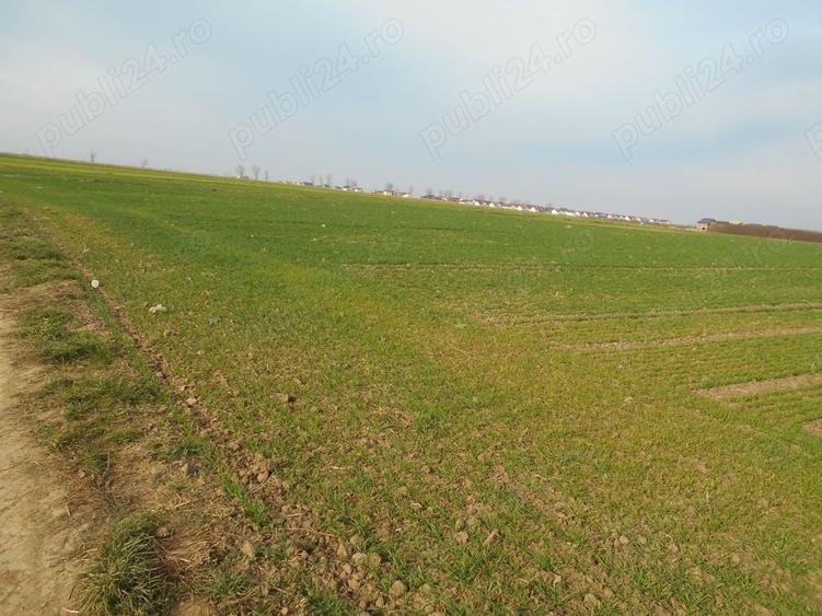 Teren de 12113 mp, în Vidra