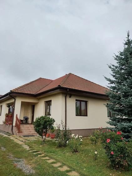 Casă cu Teren 1200 Mp în Central