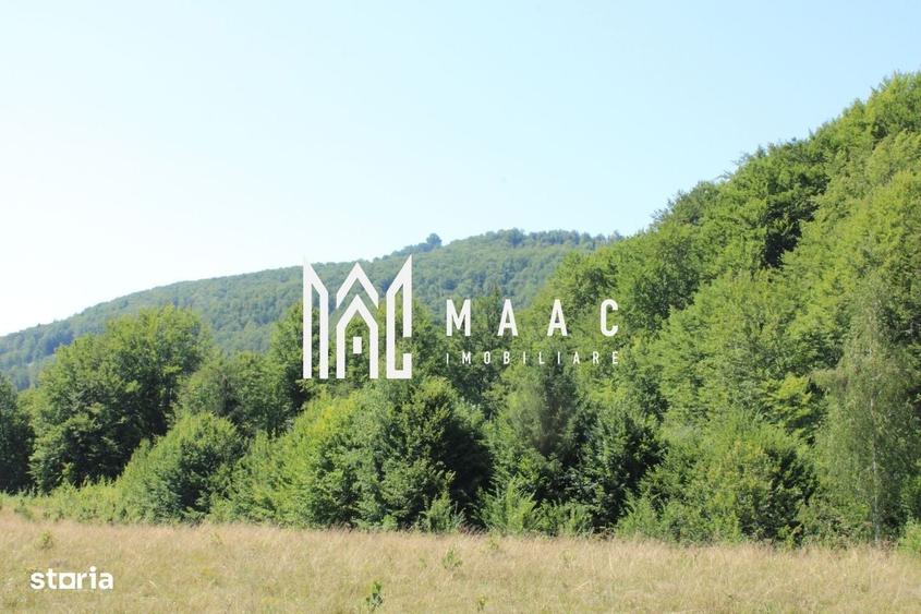 Spațiu comercial, în Cărpiniș