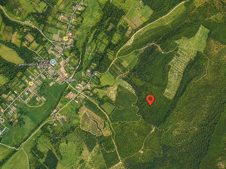 Teren agricol extravilan de 196000 mp, în Brestovăț