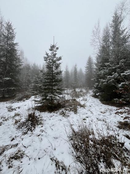 Teren de 3800 mp, în Călățele
