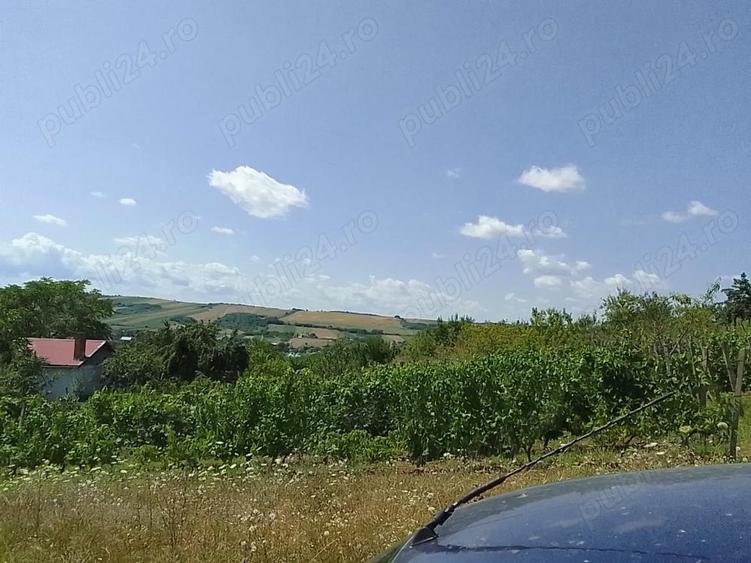 Teren de 6100 mp, în Cehal