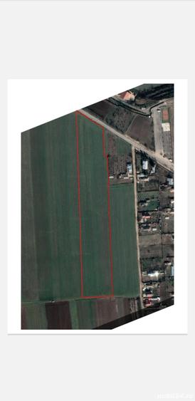 Teren de 31500 mp, în Gruiu