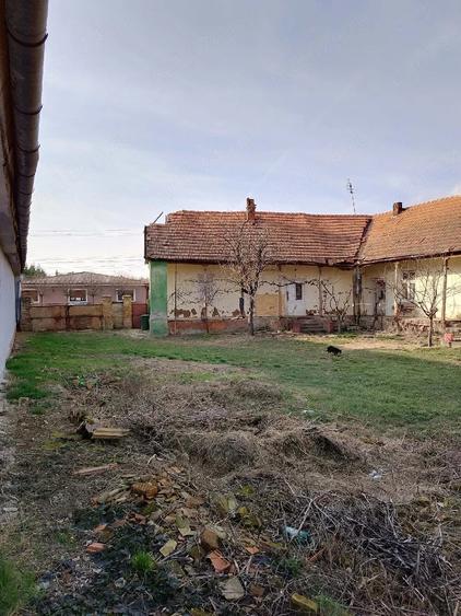 Casă cu Teren 3415 Mp în Pișchia