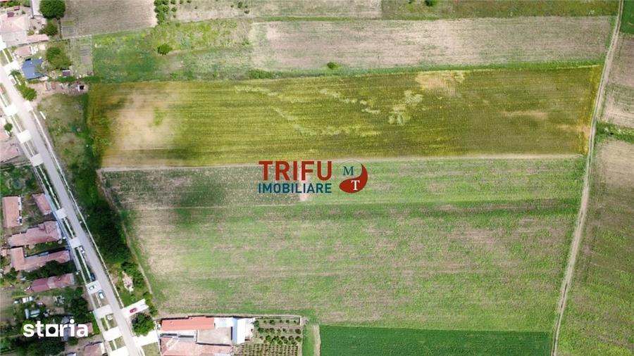 Teren de 2900 mp, în Obreja