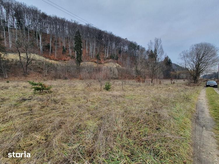Teren de 4600 mp, în Central