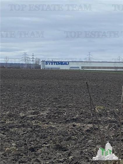Teren agricol extravilan de 10000 mp, în Berceni