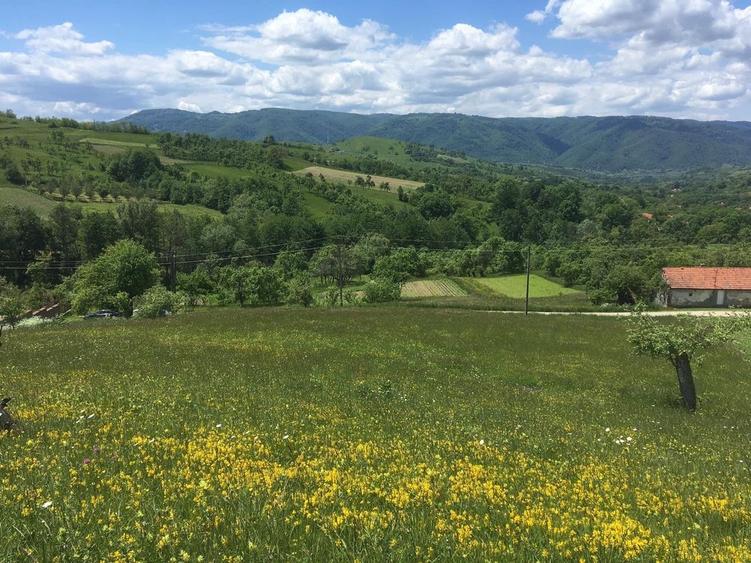 Teren de 1140 mp, în Armeniș