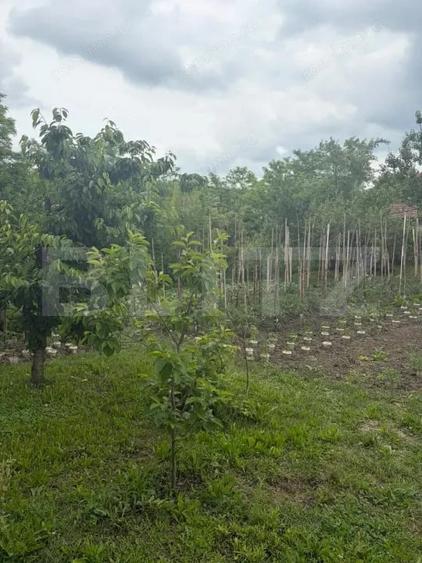 Casă cu 3 camere cu Teren 798 Mp în Cornești (Crăciunești)