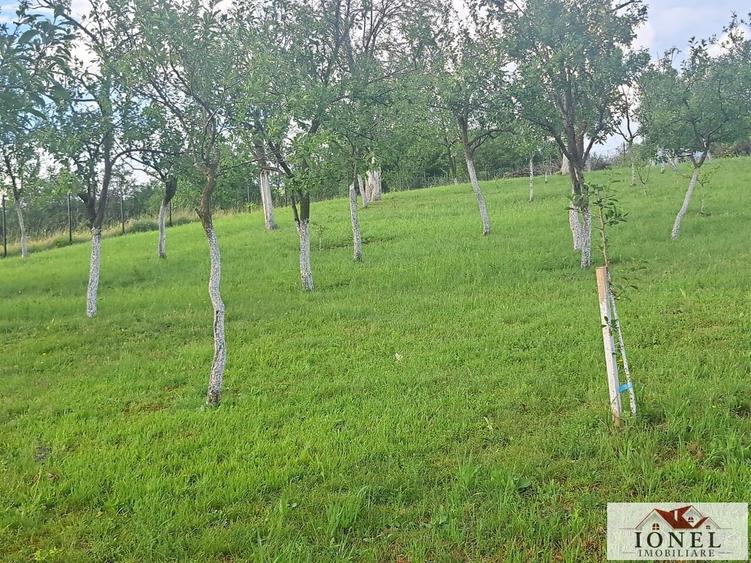 Teren Construcții intravilan de 2400 mp, în Benic