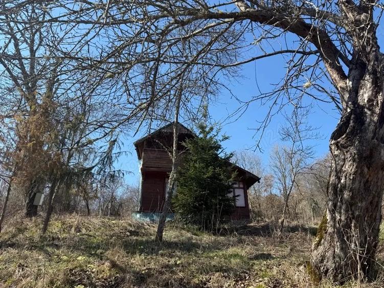 Casă cu 3 camere cu Teren 8000 Mp în Dumbrăvița