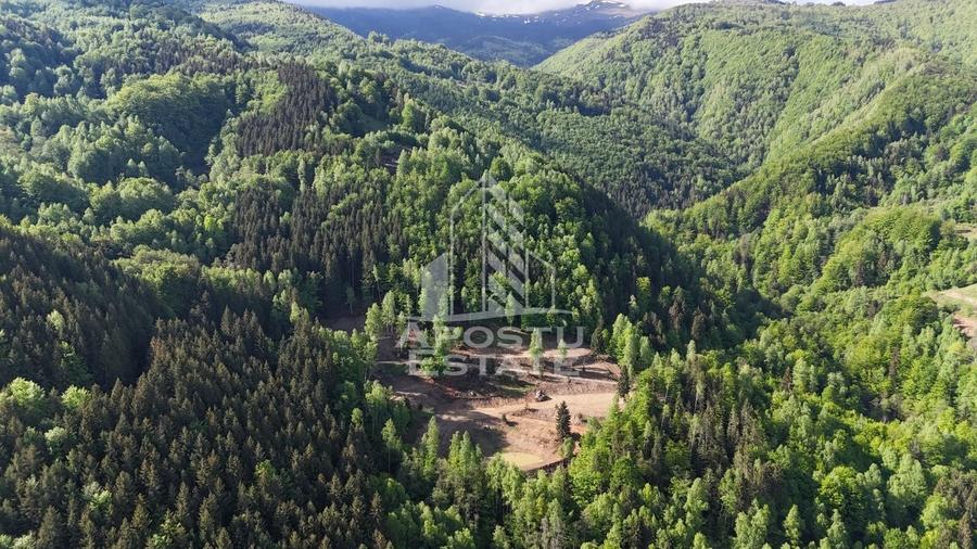Teren Construcții extravilan de 18000 mp, în Exterior Sud