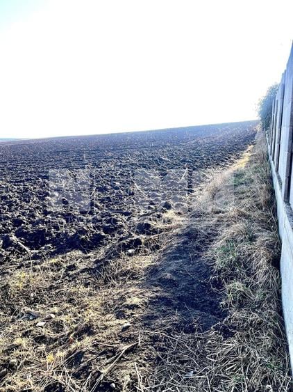 Teren agricol extravilan de 2500 mp, în Moara Nica