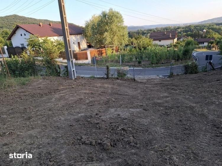 Teren de 1500 mp, în Berislăvești