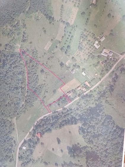 Teren Construcții intravilan de 10000 mp, în Bistrița Bârgăului