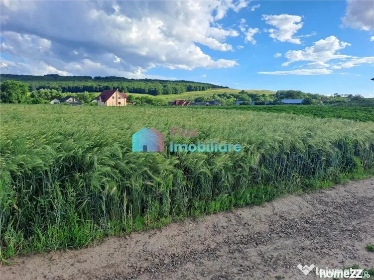Teren de 4500 mp, în Reuseni