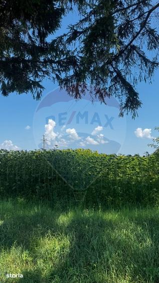 Teren de 8156 mp, în Costâna