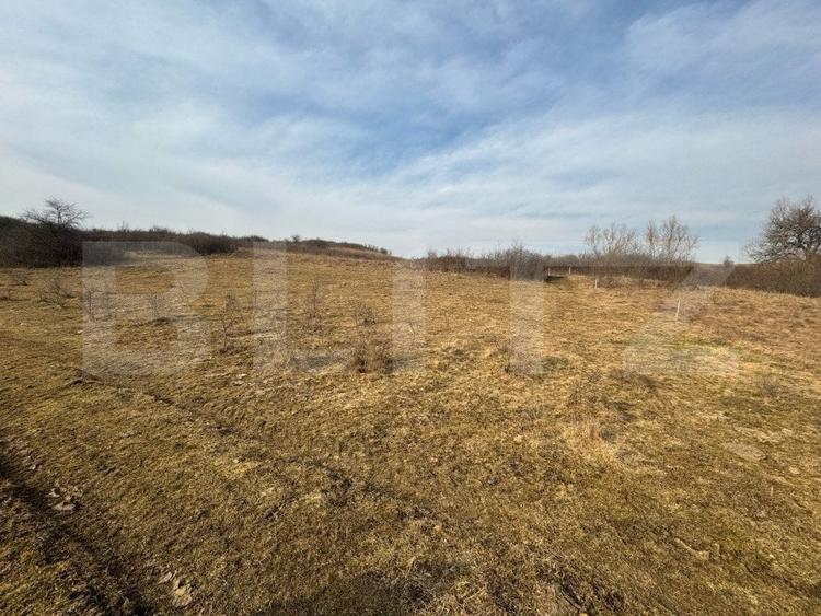 Teren agricol extravilan de 11200 mp, în Sud