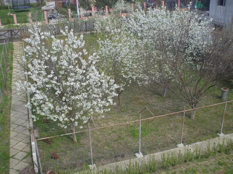 Casă cu 5 camere cu Teren 2100 Mp în Ordoreanu